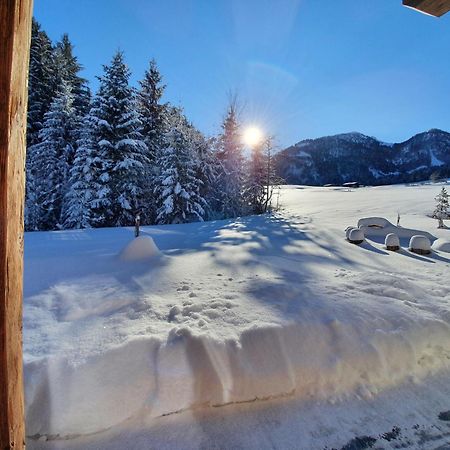 Zeitfrei Chalet Apartments Fieberbrunn Luaran gambar