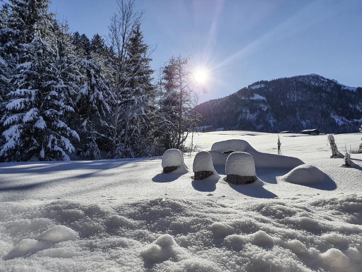 Zeitfrei Chalet Apartments Fieberbrunn Luaran gambar